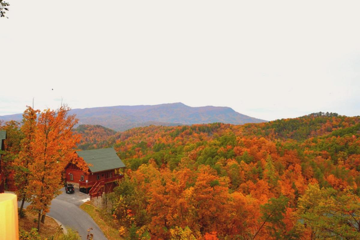 Wild Mountain Honey 3 Bedroom/3 Bath Home with Home Theater - image 6