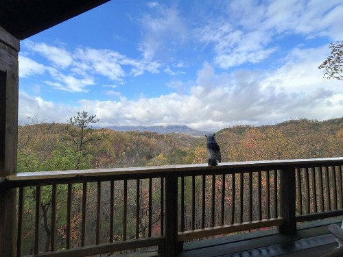 Honeymoon View #1 - image 6