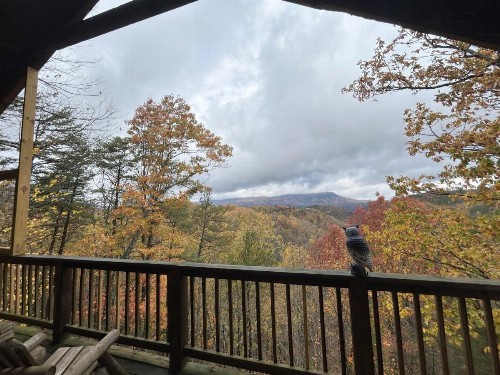 Honeymoon View #2 - image 38