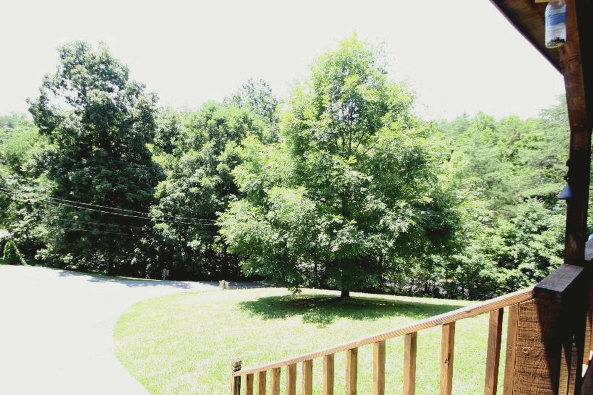 Hartman Hideaway Economy Cabin - image 4