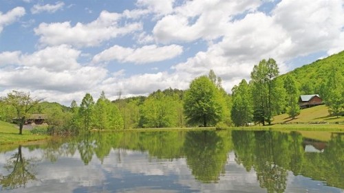 A Slice of Heaven Cabin - image 40