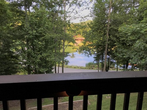 A Slice of Heaven Cabin - image 6