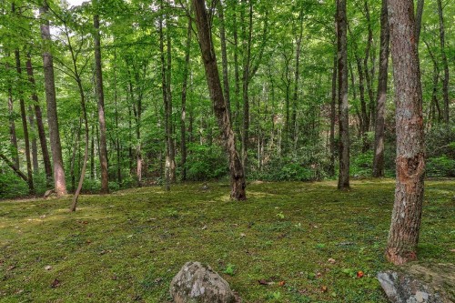 Eagle's Nest - image 7
