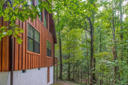 Friendly Bear Cabin - image 9