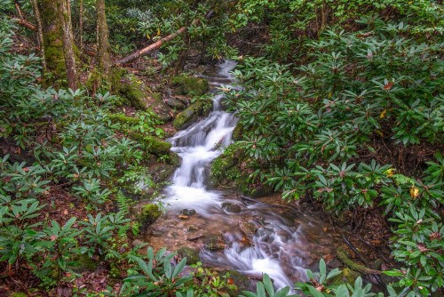 Up the Creek Home - image 8