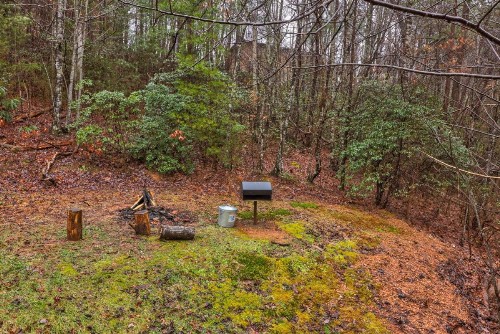 Delia's Den - image 5