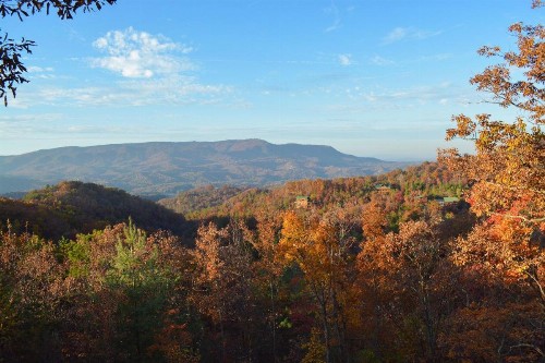 Cozy Quarters Sevierville Cabin - image 7