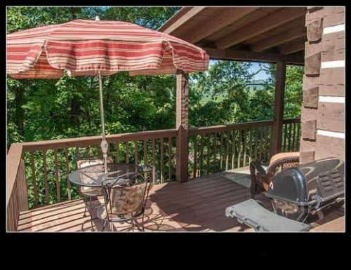 Mountain Bearadise Cabin - image 7