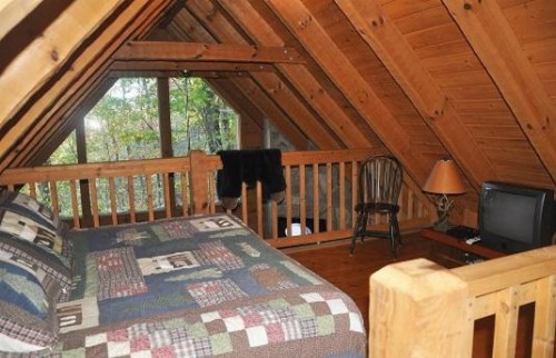 Mountain Bearadise Cabin - image 8