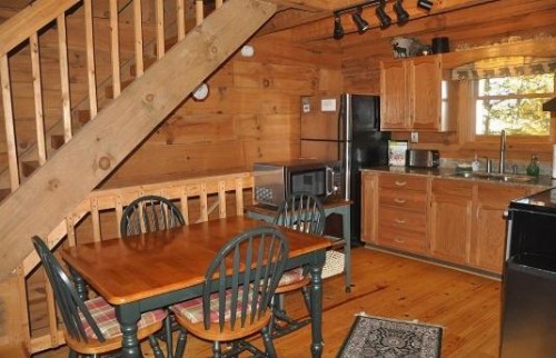 Mountain Bearadise Cabin - image 9