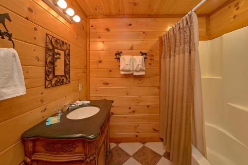 Pool And Theater Lodge - image 11