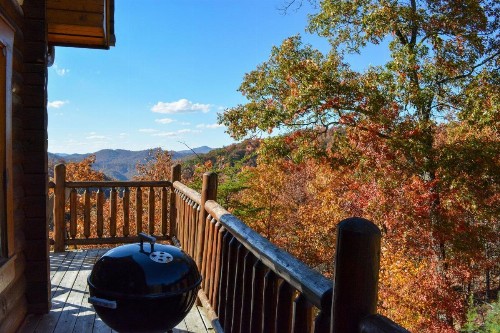 Harvest Moon Cabin - image 2