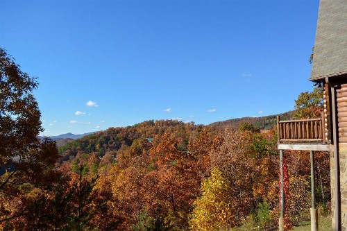 Harvest Moon Cabin - image 8