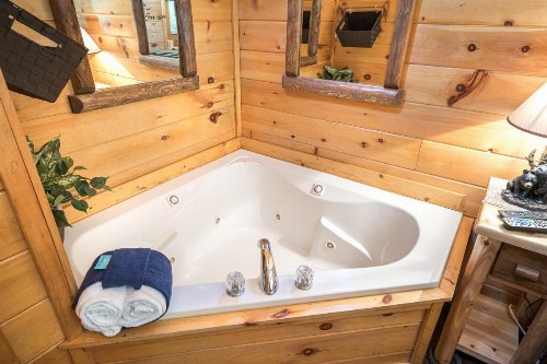 Cozy Bear - image 14