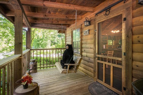Cozy Bear - image 17
