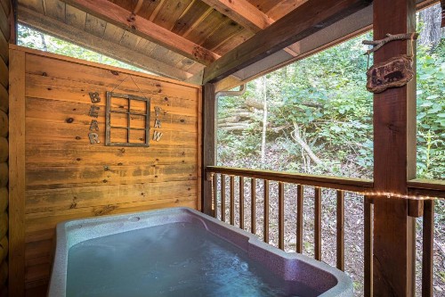 Cozy Bear - image 5