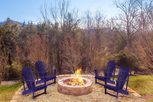 Smoky Bear Lodge with Guest House - image 4