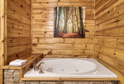 Wilderness Lodge - image 20