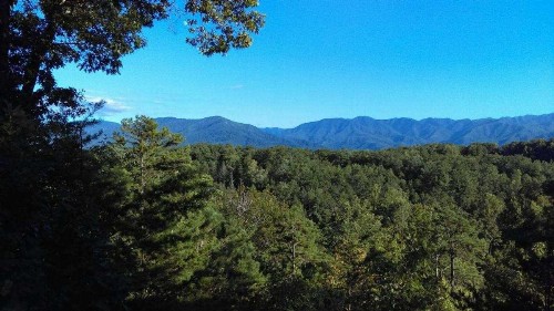 Cudderler's view - image 8
