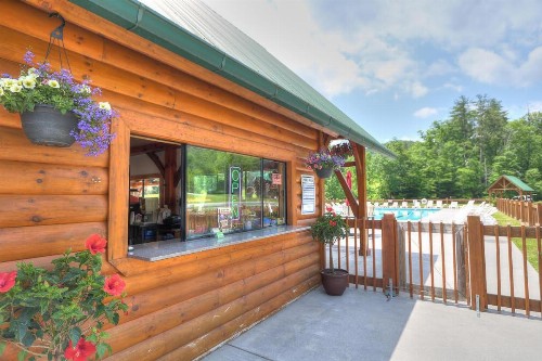 Owls Nest Tree House - image 11