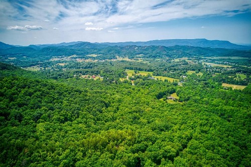 Owls Nest Tree House - image 14