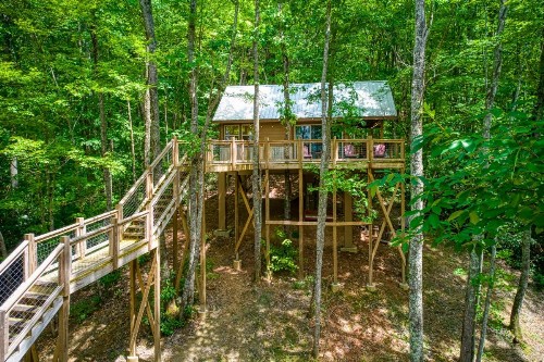 Owls Nest Tree House - image 20