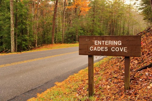 Smoky Mountain Serenity - image 10