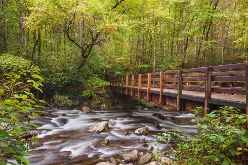 Smoky Mountain Serenity - image 15