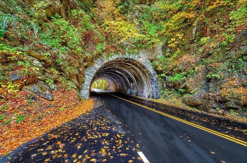 Smoky Mountain Serenity - image 17