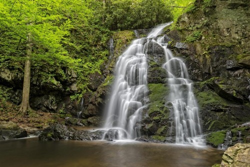 Smoky Mountain Serenity - image 4