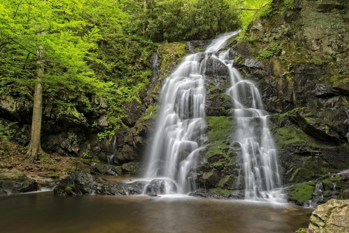 Smoky Mountain Serenity - image 4