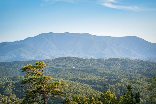 Smoky Mountain Serenity - image 8