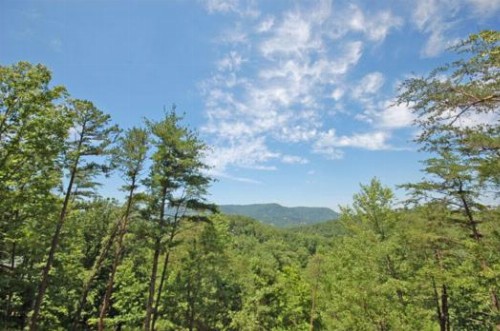 Blackbeary Bluff - image 20