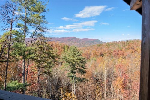 Blackbeary Bluff - image 38