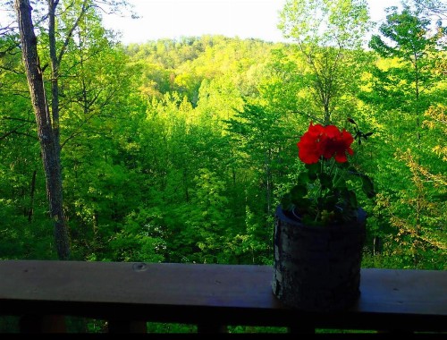 Balsam Mist Lodge - image 22