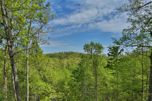 Balsam Mist Lodge - image 24