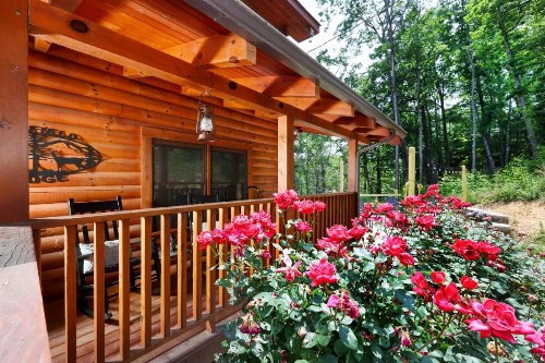 Deerfield Lodge - image 35