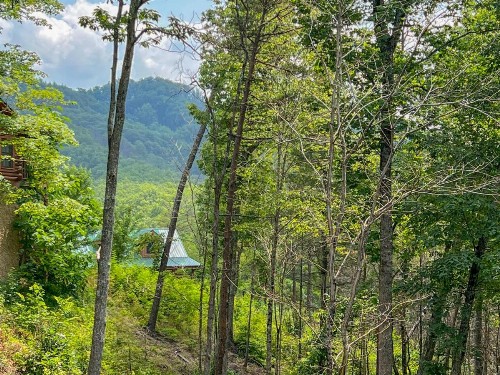 Deerfield Lodge - image 38