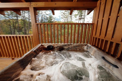 Buckhorn Ridge - image 10