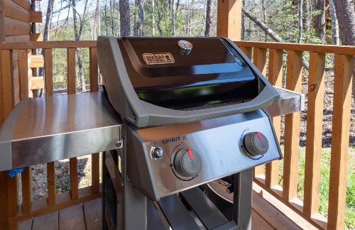 Buckhorn Ridge - image 20
