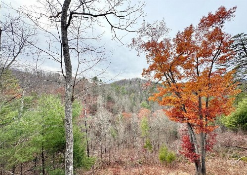 Four Oaks Lodge - image 13