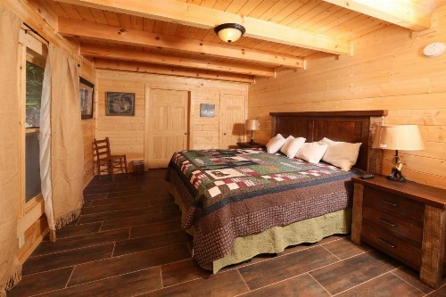 Gray Wolf Den - image 10