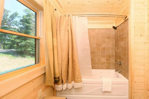 Gray Wolf Den - image 12