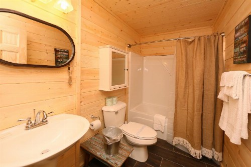 Gray Wolf Den - image 16