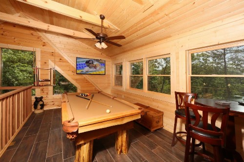 Gray Wolf Den - image 17