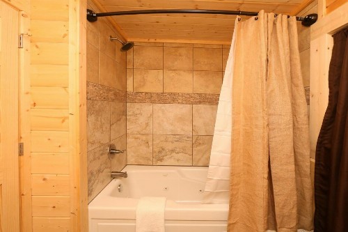 Gray Wolf Den - image 24