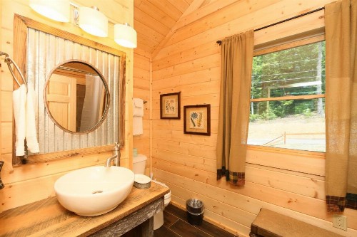 Gray Wolf Den - image 45