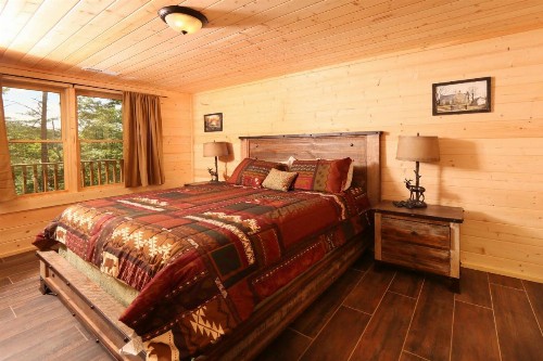 Gray Wolf Den - image 47