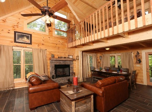 Gray Wolf Den - image 49