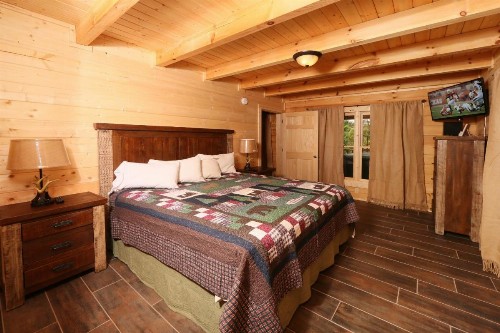 Gray Wolf Den - image 7